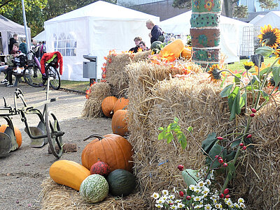 Herbstliche Dekoration unter freiem Himmel mit gelben Kürbissen und Strohballen, im Hintergrund weiße Zelte  