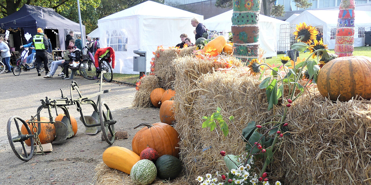 Herbstliche Dekoration unter freiem Himmel mit gelben Kürbissen und Strohballen, im Hintergrund weiße Zelte  