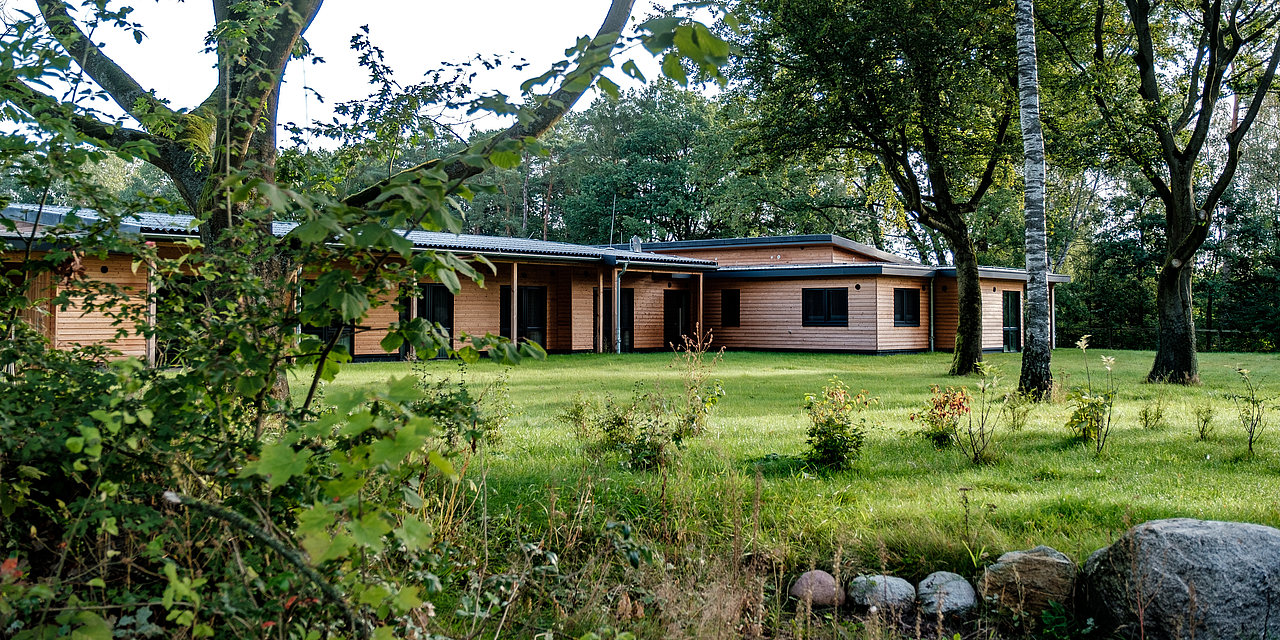 Ein modernes Holzhaus mit Flachdach im Grünen unter Bäumen